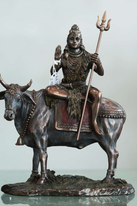 SHIV WITH COW